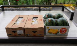 ChatGPT Image 2026년 6월 8일 오전 11_38_47.png
